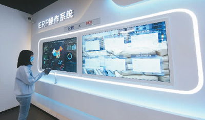 网络市场监管与服务示范区 推动网络技术服务规范化发展